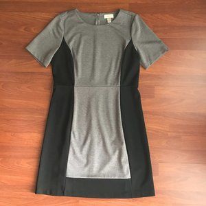 Loft Colorblock Dress